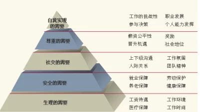 看一级：探索行业顶尖标准与实践，提升专业技能与竞争力