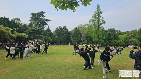 真实记录：大学生们在野外进行团队合作与挑战的精彩视频