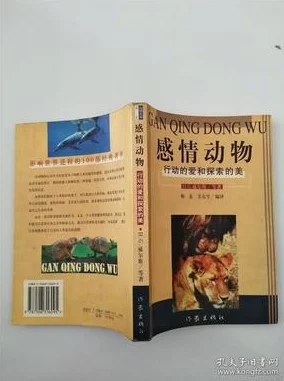 探索欧美与日韩文化交融的另类小说世界：从情感到幻想的多元叙事