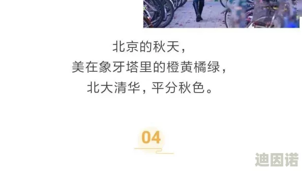 探索成年人性生活片的多元化表现：从情感深度到身体表达的全景视角