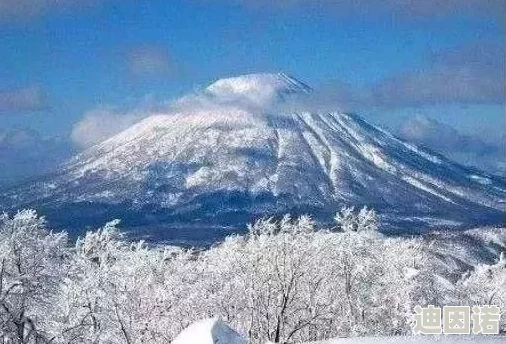 探索日本文化中的乱子元素：如何在欧美背景下重新定义传统与现代的交融