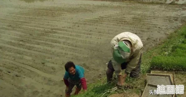 探索国产精品老牛影院：沉浸式观影体验与独特文化魅力的完美结合之旅