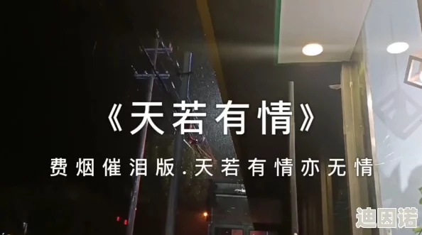 探索各种精彩内容，尽在这里观看你喜欢的视频