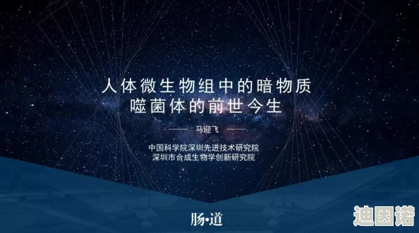 探索特黄特黄视频的魅力：揭示其背后的文化与社会影响