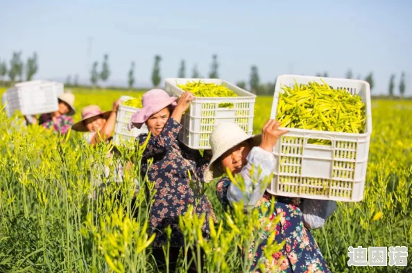 乡村乱肉第19部：在田野间绽放的禁忌之花与欲望交织的故事