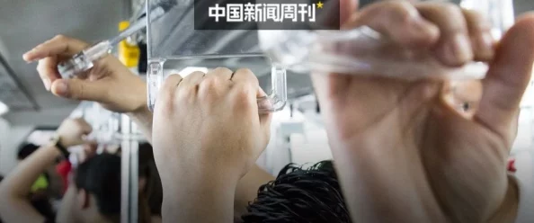 free性欧美另类高清＂最新动态：该系列作品持续受到观众关注，更新频繁，内容多样化，展现了更丰富的艺术表现形式