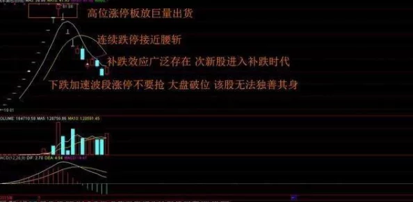 成品网站1688入门网，内容丰富，适合新手学习，非常实用！