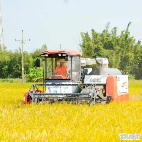 亚洲啊v天堂：最新动态揭示该地区在文化交流与经济合作方面的积极发展，吸引了全球关注与参与