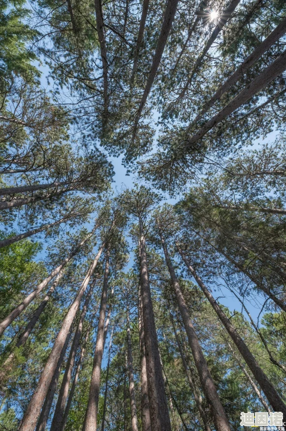 时光旅行者新手开局全面玩法攻略：掌握时间技巧，解锁全新探险之旅与隐藏任务