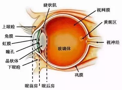 国产黄色福利网友认为这种内容虽然吸引眼球但可能对青少年产生不良影响，呼吁加强监管与引导