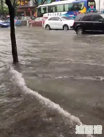 好多水啊啊啊，真是让人惊叹！这场雨下得太猛了，街道都快淹没了