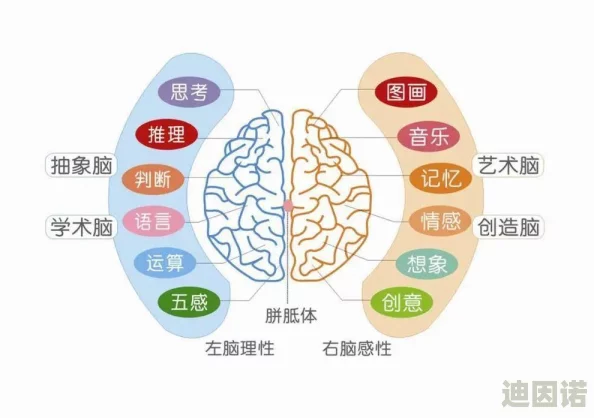 一年经年经继拇的道理和道理，生活中的每一个细节都蕴含着深刻的哲理