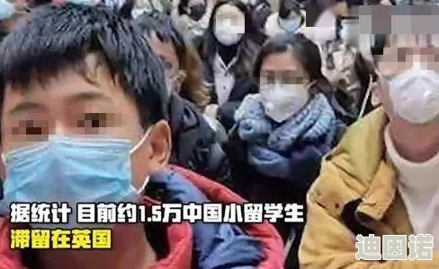 中国人泡妞的真实故事：看网友如何评价这一现象，背后隐藏着怎样的文化与情感？