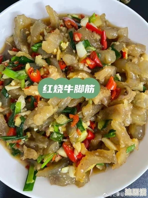 以食物菜刀队全攻略：解锁烹饪秘籍，助你跨越美食领域成为顶尖大厨