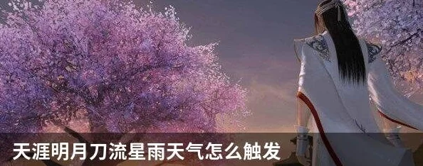 《天涯明月刀手游》流星雨天气触发攻略及影响与应对策略