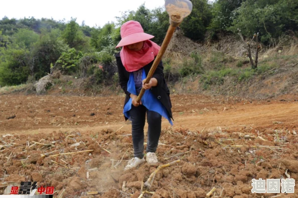 哦┅┅快┅┅用力啊┅┅村妇的力量与智慧在田间地头绽放光彩