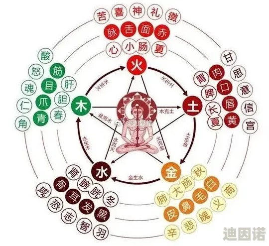 古代人生哲学中的五行相生学说深度解析及现代应用新解