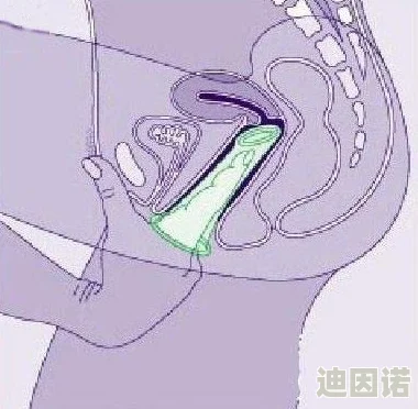 操美女阴道其实是指通过正当途径追求美丽的事物和生活品质提升的过程