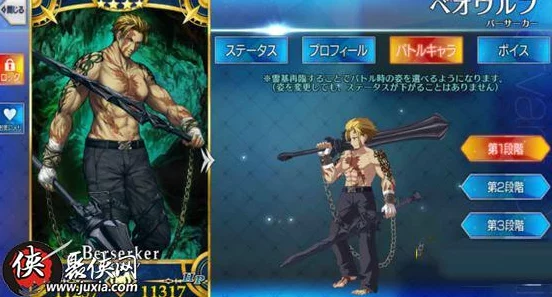 命运冠位指定FGO：源赖光满破必备！全面解析素材获取途径大全攻略