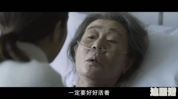黄色视频级黄十二夜2：回到第零天