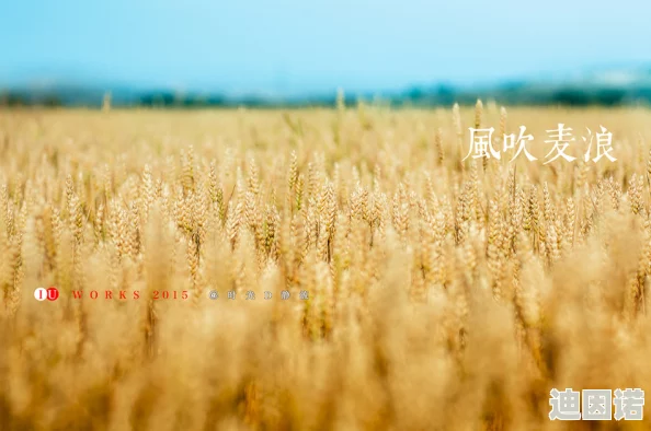 一级片a级片风吹吧麦浪